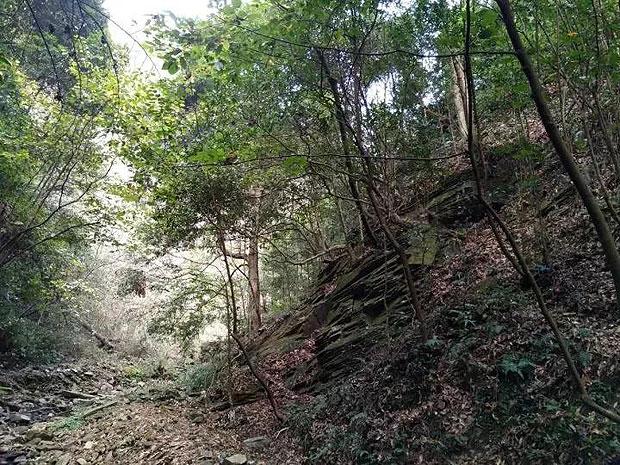 动漫明星竞速赛